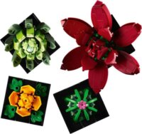 LEGO® Icons: 10309 - Pozsgások