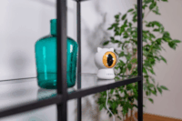 Tesla TSL-PC-PTY010 macskáknak lézerjáték