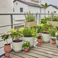 Gardena 13401-20 Micro-Drip-System öntözőkészlet balkon növényekhez