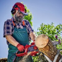 Einhell GC-EC 1935 Elektromos láncfűrész