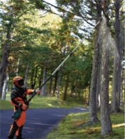 Makita UA004GZ XGT Akkumulátoros ágvágó (Akku és töltő nélkül)