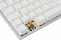 White Shark Commandos (Red Switches) Vezetékes Mechanikus Gaming Billentyűzet - Angol (US)