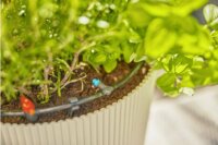 Gardena 13400-20 Micro-Drip-System Öntözőrendszer Terasz 30 növény csepegtető készlet 15m (13mm 1/2")
