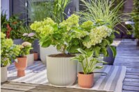 Gardena 13400-20 Micro-Drip-System Öntözőrendszer Terasz 30 növény csepegtető készlet 15m (13mm 1/2")