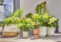 Gardena 13400-20 Micro-Drip-System Öntözőrendszer Terasz 30 növény csepegtető készlet 15m (13mm 1/2")