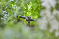 Gardena 13218-20 Micro-Drip-System Öntözőrendszer 4.6mm 3/16" cső leszúrótüske (5db / csomag)