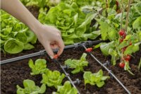 Gardena 13302-20 Micro-Drip-System Öntözőrendszer Csepegtetőfej (10db / csomag)