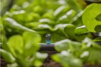 Gardena 13318-20 Micro-Drip-System Öntözőrendszer öntözőfej (5db / csomag)