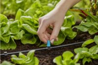 Gardena 13316-20 Micro-Drip-System Öntözőrendszer öntözőfej (10db / csomag)