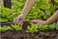 Gardena 13316-20 Micro-Drip-System Öntözőrendszer öntözőfej (10db / csomag)