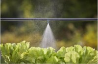 Gardena 13323-20 Micro-Drip-System Öntözőrendszer Permetezőfej Mico Mist fúvóka (5db / csomag)