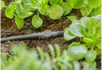 Gardena 13213-20 Micro-Drip-System Öntözőrendszer Toldó Adapter 4,6mm (10db / csomag)