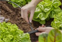 Gardena 13213-20 Micro-Drip-System Öntözőrendszer Toldó Adapter 4,6mm (10db / csomag)