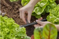 Gardena 13213-20 Micro-Drip-System Öntözőrendszer Toldó Adapter 4,6mm (10db / csomag)