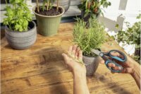 Gardena 12214-20 Fűszernövény olló