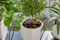 Gardena 13366-20 Automata Öntözőkanna készlet akár 36 cserepes növényhez