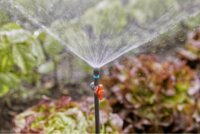 Gardena 13217-20 Micro-Drip-System Öntözőrendszer Szabályozó és Elzáró csap szelep 4,6mm (2db / csomag)