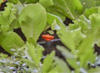 Gardena 13217-20 Micro-Drip-System Öntözőrendszer Szabályozó és Elzáró csap szelep 4,6mm (2db / csomag)