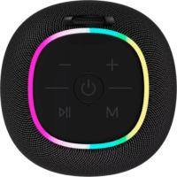 Canyon BSP-8 Hordozható bluetooth hangszóró - Fekete