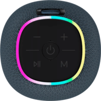 Canyon BSP-8 Hordozható bluetooth hangszóró - Szürke