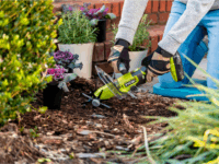 Ryobi ONE+ Akkumulátoros kézi kapálógép