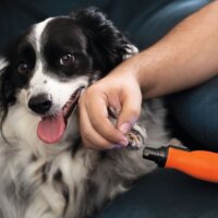 Black & Decker BCRT8I-XJ Akkus Gravírozó csiszoló Multifunkciós készlet