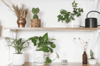 TFA Dostmann 30.1065.02 Digitális hőmérő