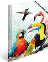 Herma A4 gumis mappa - Trópusi madár mintás