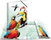 Herma A4 gumis mappa - Trópusi madár mintás