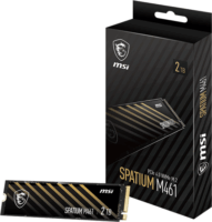 MSI 2TB Spatium M461 M.2 PCIe SSD