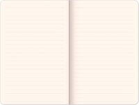 Realsystem Birds 130 x 210mm Vonalas notesz - Mintás