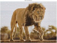 Ambassador Vadvilág (Donal Boyd) - 3 x 1000 darabos puzzle