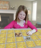 Ambassador: Állatcsaládok memóriajáték