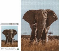 Ambassador Afrikai elefánt (Donal Boyd) - 1000 darabos puzzle