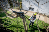 Metabo MS 18 LTX 15 Akkumulátoros Ágvágó fűrész + metaBOX 145 L (akku és töltő nélkül)