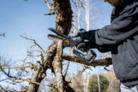 Metabo MS 18 LTX 15 Akkumulátoros Ágvágó fűrész + metaBOX 145 L (akku és töltő nélkül)