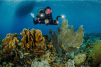 SeaLife 835.990.001 Flex Connect Flexibilis toldókar