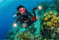 SeaLife 835.990.001 Flex Connect Flexibilis toldókar