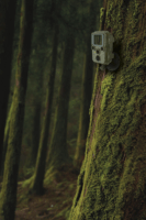 Braun Scouting Black800 Mini Vadkamera