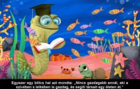 Az Aranyhal legendája diafilm