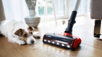 Bosch BCS711PET Porzsák nélküli álló porszívó - Fekete/Piros