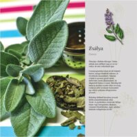 Toptimer 290 x 580mm 2024 Falinaptár - Gyógynövények, fűszerek