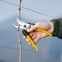 Alpen Gelbhorn 150 Metszőolló