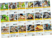 GémKlub Ark Nova Stratégiai tárasasjáték- 2. kiadás