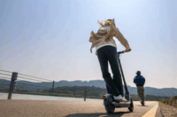 Ninebot by Segway KickScooter E2 Pro E Elektromos roller