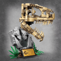 LEGO® Jurassic World: 76964 - Dinoszaurusz maradványok: T-Rex koponya