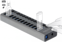 Delock 63738 USB Type-A 3.0 HUB (13 port)
