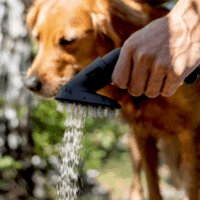 Kärcher 2.644-421.0 Kisállat mosókefe