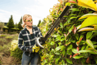 Ryobi RHT36C61R20S 36V Akkumulátoros sövényvágó + 1x 2Ah Akku + Töltő