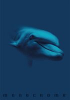 Pigna Monocromo Blue 38 lapos A4 vonalas füzet - Többfajta